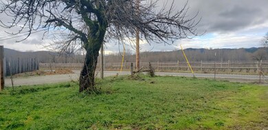 view of vineyard, plus more
