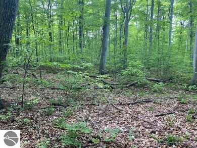 0 S Linden Ct unit 10, Cedar, MI 49621 - photo 2