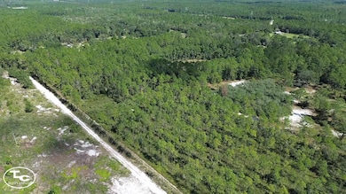 0 NE 212th Street Rd unit 25508545, Fort McCoy, FL 32134 - photo 3