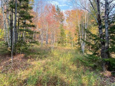 00 Kew Vasseur Rd unit 1, Fayston, VT 05673 - photo 6