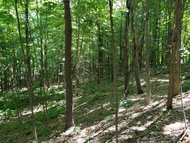 0 Loring Hill Rd, Buckfield, ME 04220 - photo 4