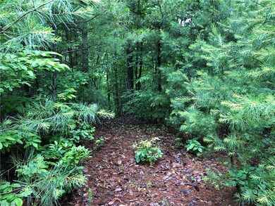 Lot 61 Deer Run, Purlear, NC 28665 - photo 7