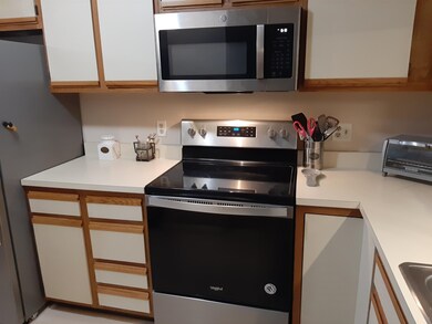 19 Saco St unit 69, Center Conway, NH 03813 - photo 3