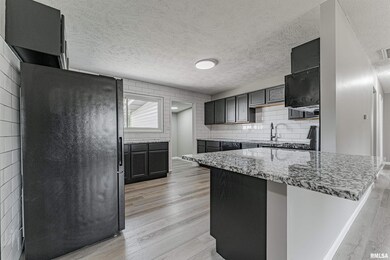 332 Welch Dr, Lincoln, IL 62656 - photo 4