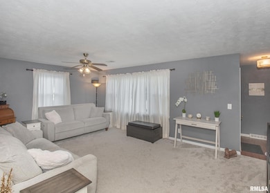 3815 Kennedy Dr, East Moline, IL 61244 - photo 7