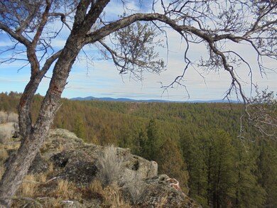0 Tableland Rd unit 18380387, Sprague River, OR 97624 - photo 3