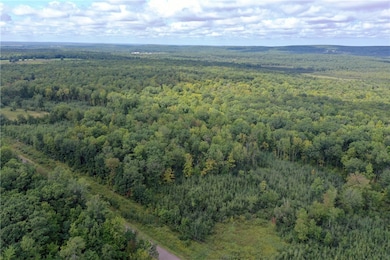 TBD - E 16th Ave, Sumner, WI 54868 - photo 3