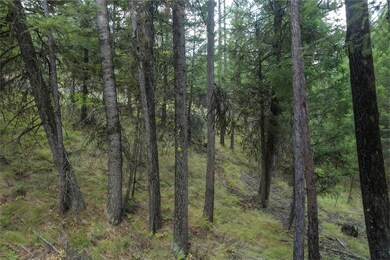 2769 Haywire Gulch, Kalispell, MT 59901 - photo 7