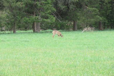 Look what was out in one of the fields!