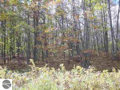 0 Richard Dr, West Branch, MI 48661 - photo 2