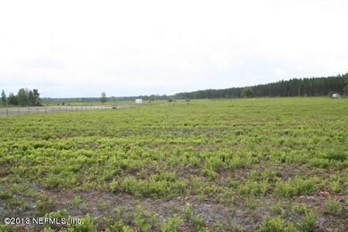 0 Davis Rd unit 696402, Callahan, FL 32011 - photo 3