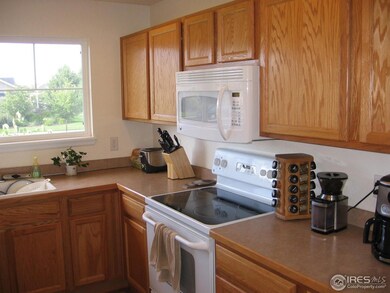 2757 Amber Waves Ln, Fort Collins, CO 80528 - photo 6