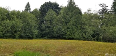 230 Mountview Ln, Ethel, WA 98542 - photo 5