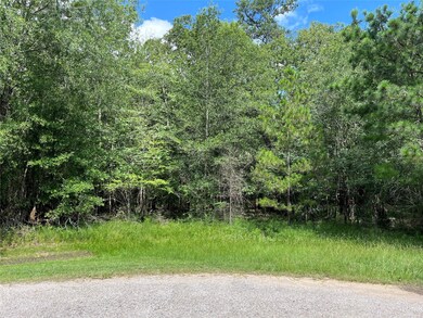 11960 White Oak Run, Conroe, TX 77385 - photo 5