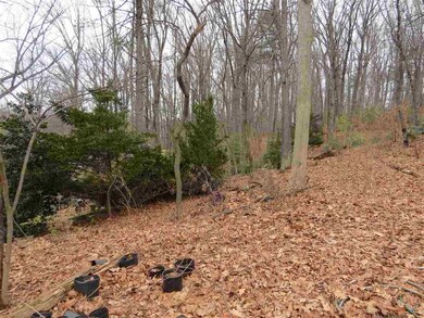 TBD Windsor Rd, Harrisonburg, VA 22801 - photo 6