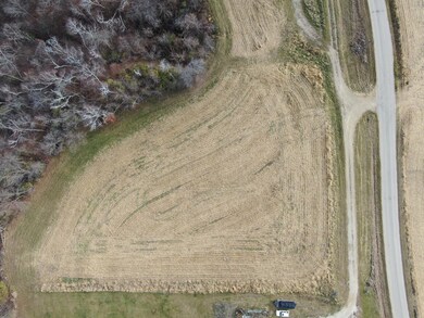 Lot 1 N Buck Creek Rd, Ferryville, WI 54628 - photo 4