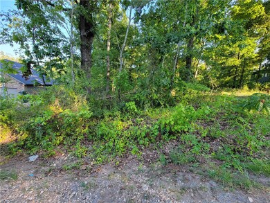 0 Ripley Ln, Bella Vista, AR 72715 - photo 5