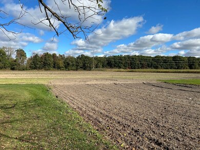 0 Covert Rd, Summerfield Township, MI 49270 - photo 7
