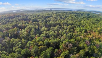 88 Deodar Dr, Brookeland, TX 75931 - photo 2