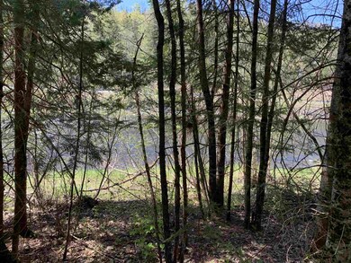 Lot 19 Route 3, Columbia, NH 03576 - photo 2