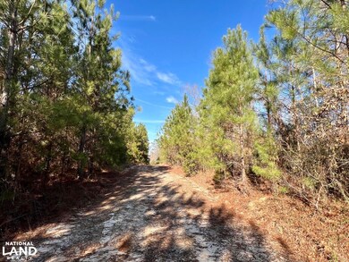 0 Old Claiborne Rd unit 25514029, Thomasville, AL 36784 - photo 4