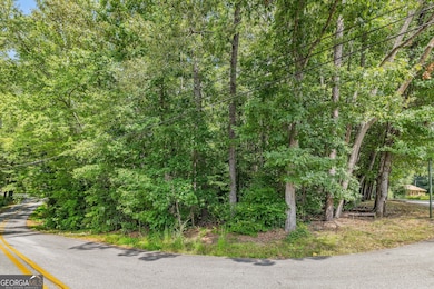 0 Valley Dr unit 10600268, Toccoa, GA 30577 - photo 7