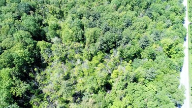 DJI_0031