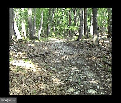 15631 Yeoho Rd, Sparks Glencoe, MD 21152 - photo 4