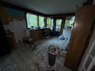 3905 S Wilson Hill Rd, Mill Spring, NC 28756 - photo 3