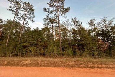 11,12,13 Paradise Cir, Donalsonville, GA 39845 - photo 2