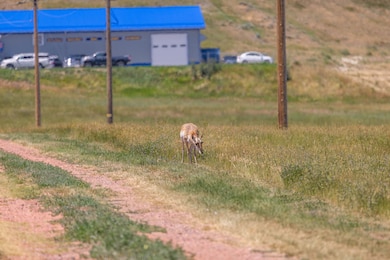 Tbd S Douglas Hwy, Gillette, WY 82718 - photo 7