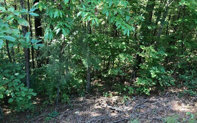 LT 29 Crabapple Ln, Ellijay, GA 30540 - photo 3