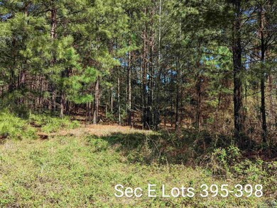 TBD Eagle Bluff Loop unit IHH SEC E LOTS 395-3, Avinger, TX 75630 - photo 3