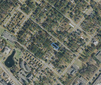 1113 Dunbar St, Myrtle Beach, SC 29577 - photo 3