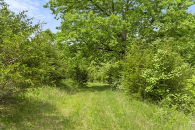 34-web-or-mls-20220517-DSC04331