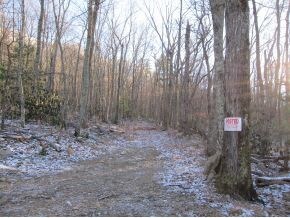 1902 Old Mountain Rd, Greeneville, TN 37743 - photo 5