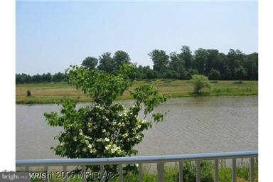 25260 Lake Shore Square unit 104, Chantilly, VA 20152 - photo 2