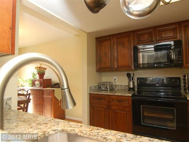 12889 Grays Pointe Rd unit B, Fairfax, VA 22033 - photo 7