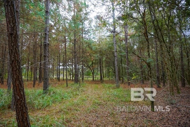 0 Smith Young Rd, Mobile, AL 36695 - photo 7