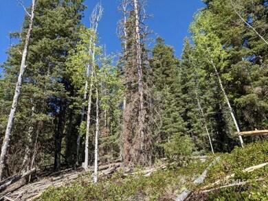 Lot slopes towards the back.