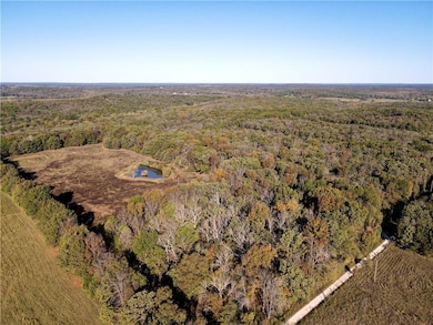 2055 E 335th Rd, Goodson, MO 65663 - photo 4