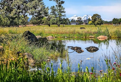 2025_06_23_20375_marsh_road-89