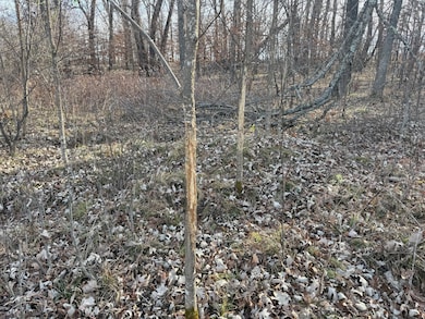 TBD 294th, Meadow Township, MN 56477 - photo 3