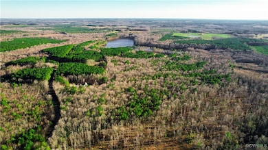 Lot 9 Colemans Lake Rd, Dinwiddie, VA 23850 - photo 3