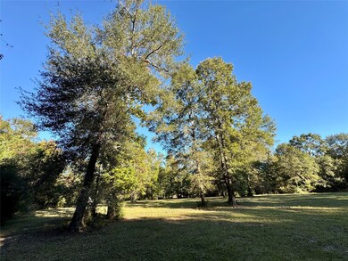 TBD County Road 2300 N, Cleveland, TX 77327 - photo 4