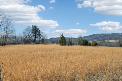 8005 Palmore Hollow Pvt Ln, Nolensville, TN 37135 - photo 3