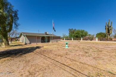 04-Ocotillo