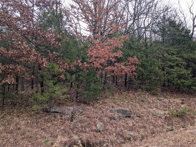 TBD Starlite Ave, Holiday Island, AR 72631 - photo 5