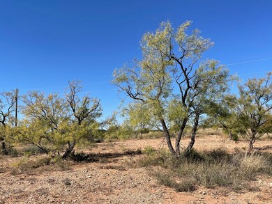 201 Ratliff Rd, Bronte, TX 76933 - photo 6