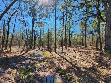 46.1 No Physical Address, Wister, OK 74966 - photo 6